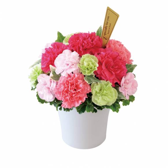 花キューピット加盟店 店舗名：花のたかはし
フラワーギフト商品番号：521337
商品名：グラマラス（ピンク）