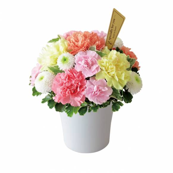 花キューピット加盟店 店舗名：花のたかはし
フラワーギフト商品番号：521338
商品名：グラマラス（カラフル）