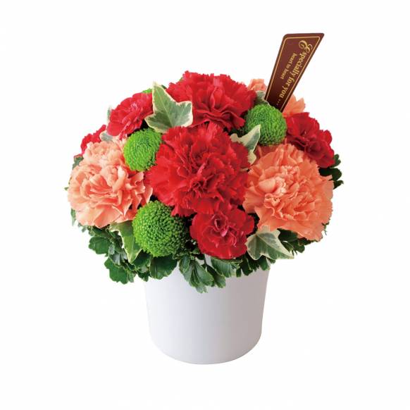 花キューピット加盟店 店舗名：花のたかはし
フラワーギフト商品番号：521339
商品名：グラマラス（レッド）